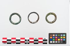 Foto von Bronzering (NHMW-PRAE-024758)